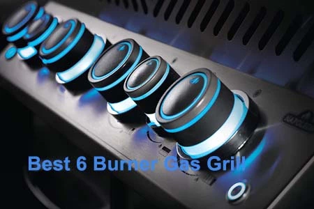 Best 6 Burner Gas Grill