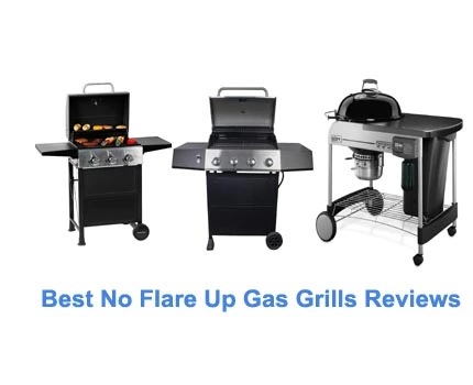 Best No Flare Up Gas Grills