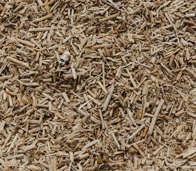 How Long To Soak Wood Chips For Electric Smoker