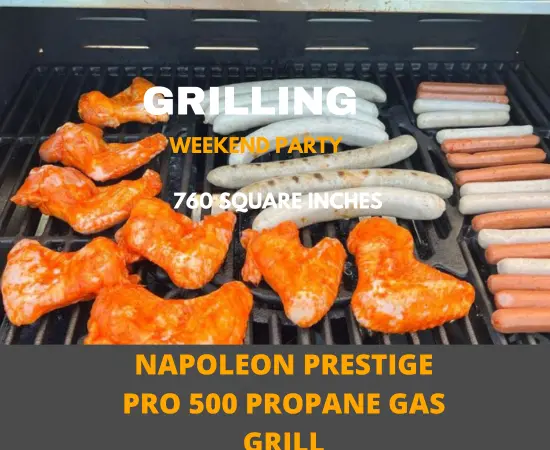 Napoleon Prestige Pro 500 Propane Gas Grill