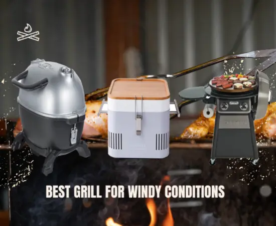 Best Grill For Windy Conditions