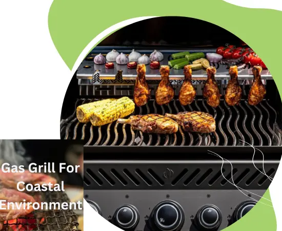 Best Gas Grill For Coastal Environment