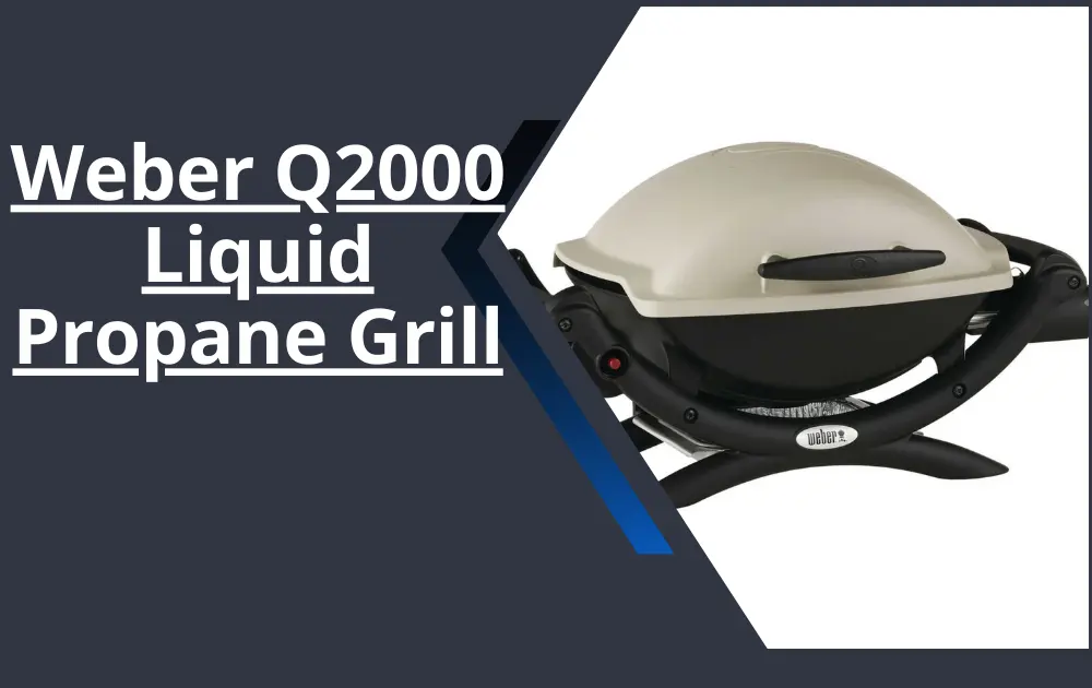 Weber Q2000 Liquid Propane Grill