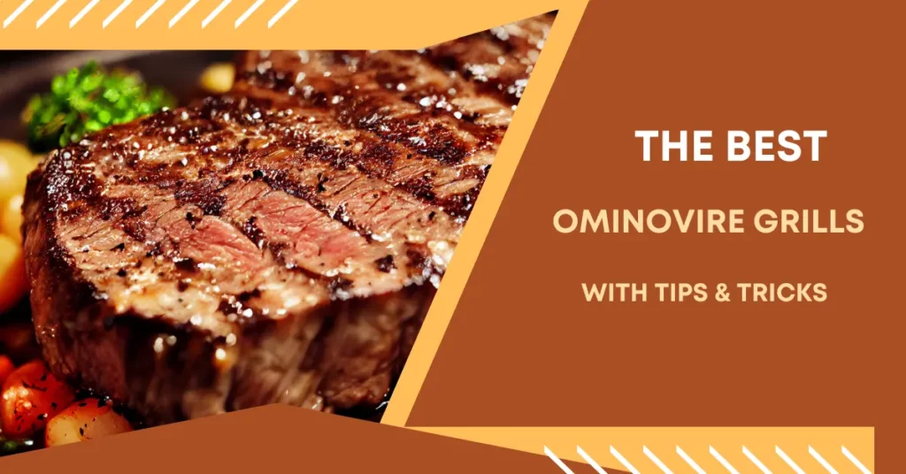 are ominovire grills worth it are ominovire grills worth it