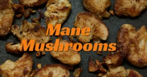 How to Grill Lion's Mane Mushrooms