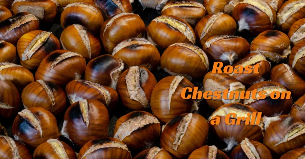 How to Roast Chestnuts on a Grill How to Roast Chestnuts on a Grill
